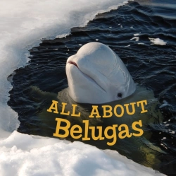 Bertrand.pt - All About Belugas