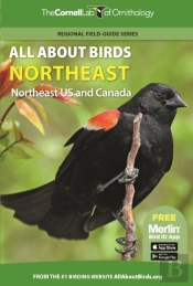 All About Birds Northeast