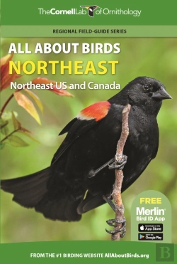 Bertrand.pt - All About Birds Northeast