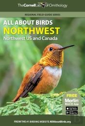 All About Birds Northwest