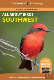 All About Birds Southwest