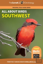All About Birds Southwest