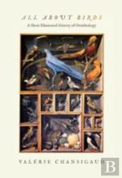 All About Birds