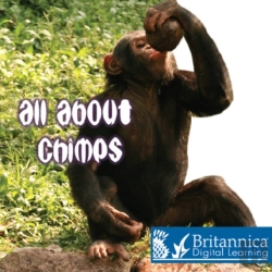 Bertrand.pt - All About Chimps