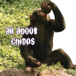 Bertrand.pt - All About Chimps