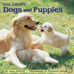 Bertrand.pt - All About Dogs And Puppies