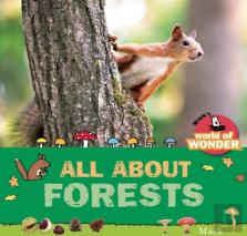 All About Forests