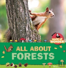 Bertrand.pt - All About Forests