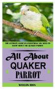 All About Quaker Parrot