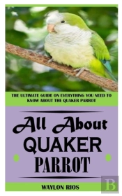 All About Quaker Parrot
