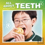 All About Teeth