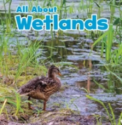 All About Wetlands
