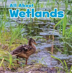 Bertrand.pt - All About Wetlands