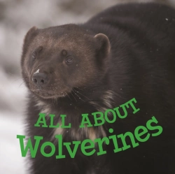 Bertrand.pt - All About Wolverines