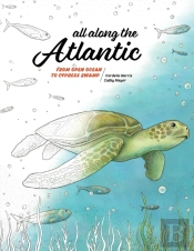 All Along The Atlantic: From Open Ocean