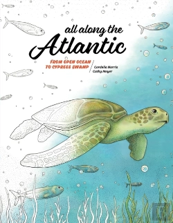 Bertrand.pt - All Along The Atlantic: From Open Ocean