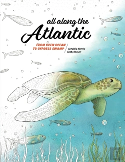 Bertrand.pt - All Along The Atlantic: From Open Ocean