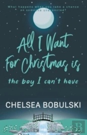 All I Want For Christmas Is The Boy I Ca