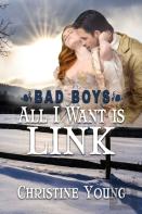 All I Want Is Link