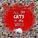 All The Cats In The World