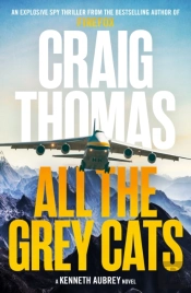 All The Grey Cats