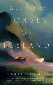 All The Horses Of Iceland