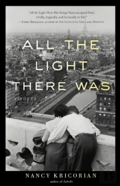 All The Light There Was