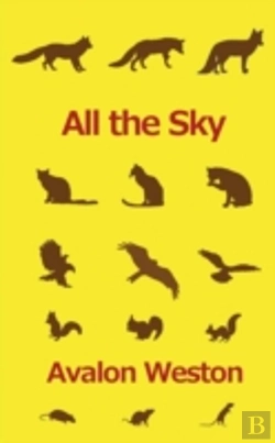 Bertrand.pt - All The Sky