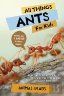 All Things Ants For Kids
