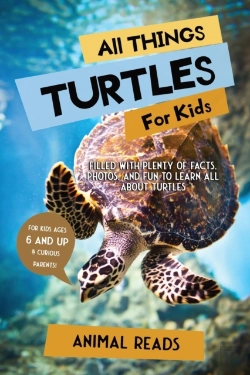 Bertrand.pt - All Things Turtles For Kids