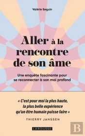 Aller À La Rencontre De Son Âme : Une Enquête Fascinante Pour Se Reconnecter À Son Moi Profond