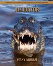Alligator