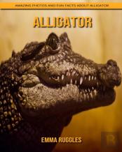 Alligator