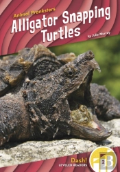 Alligator Snapping Turtles