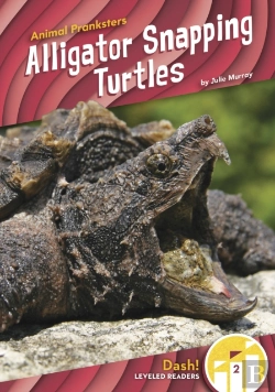 Bertrand.pt - Alligator Snapping Turtles