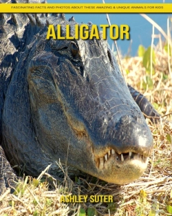 Bertrand.pt - Alligator