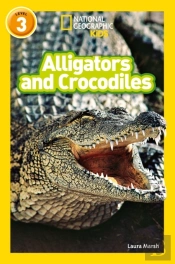 Alligators And Crocodiles