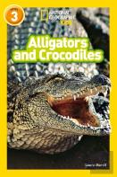 Alligators And Crocodiles