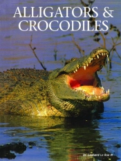 Alligators Crocodiles