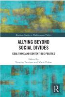 Allying Beyond Social Divides