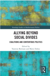 Allying Beyond Social Divides