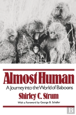 Bertrand.pt - Almost Human