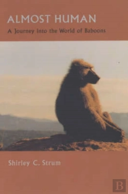 Bertrand.pt - Almost Human