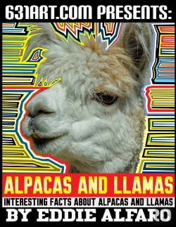 Bertrand.pt - Alpacas And Llamas