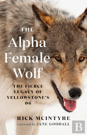 Alpha Female Wolf