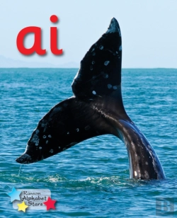 Bertrand.pt - Alpha Stars Ai
