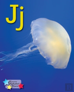 Bertrand.pt - Alpha Stars Jj