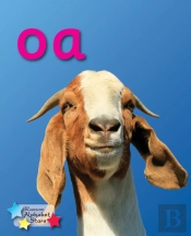 Alpha Stars Oa