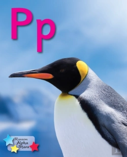 Bertrand.pt - Alpha Stars Pp