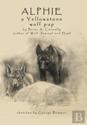 Alphie, A Yellowstone Wolf Pup
